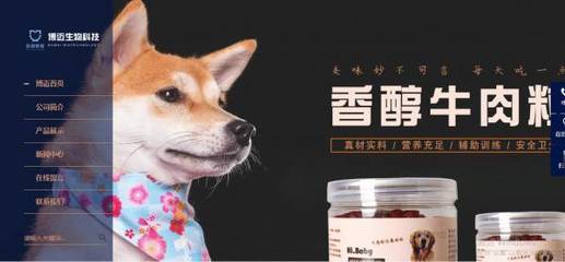 高密博*生物科技寵物食品銷(xiāo)售網(wǎng)站建設(shè)全流程解析