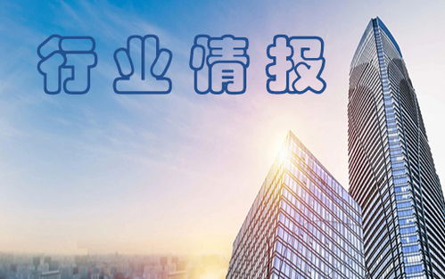 搜了動(dòng)態(tài) 深圳市搜了網(wǎng)絡(luò)科技股份有限公司的創(chuàng)新之路